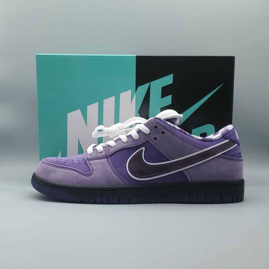 Concepts x Dunk Low SB