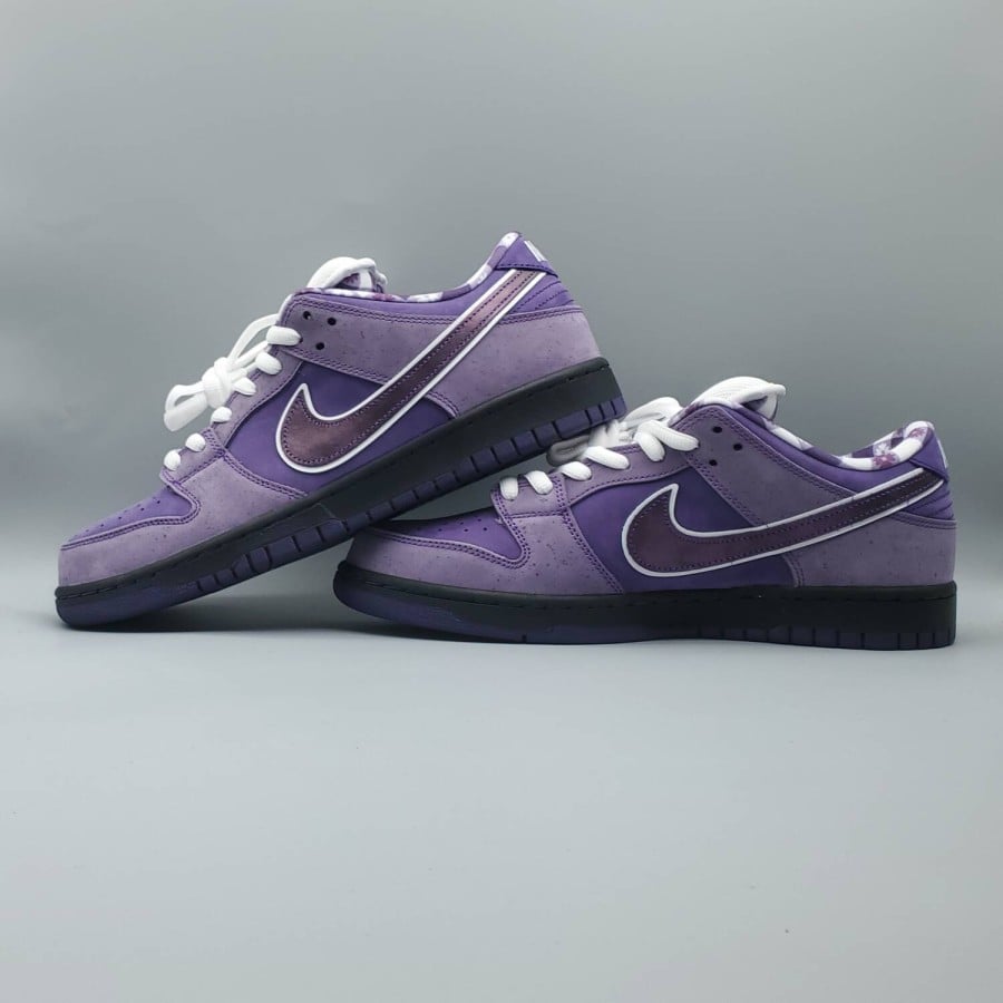 Concepts x Dunk Low SB