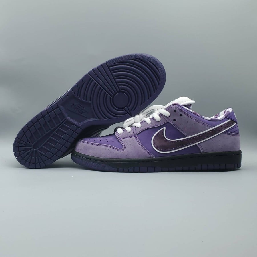 Concepts x Dunk Low SB