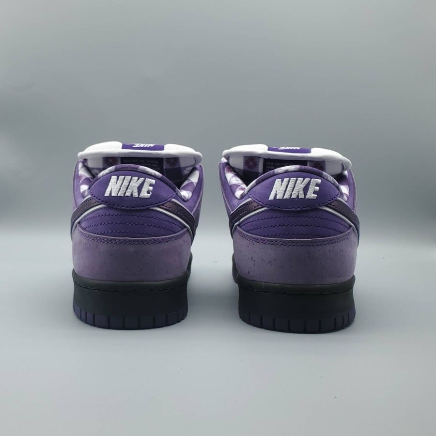 Concepts x Dunk Low SB