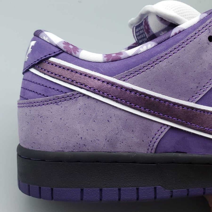 Concepts x Dunk Low SB
