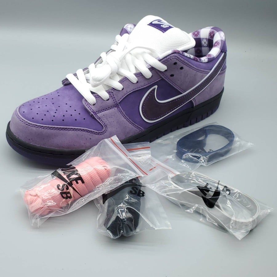 Concepts x Dunk Low SB