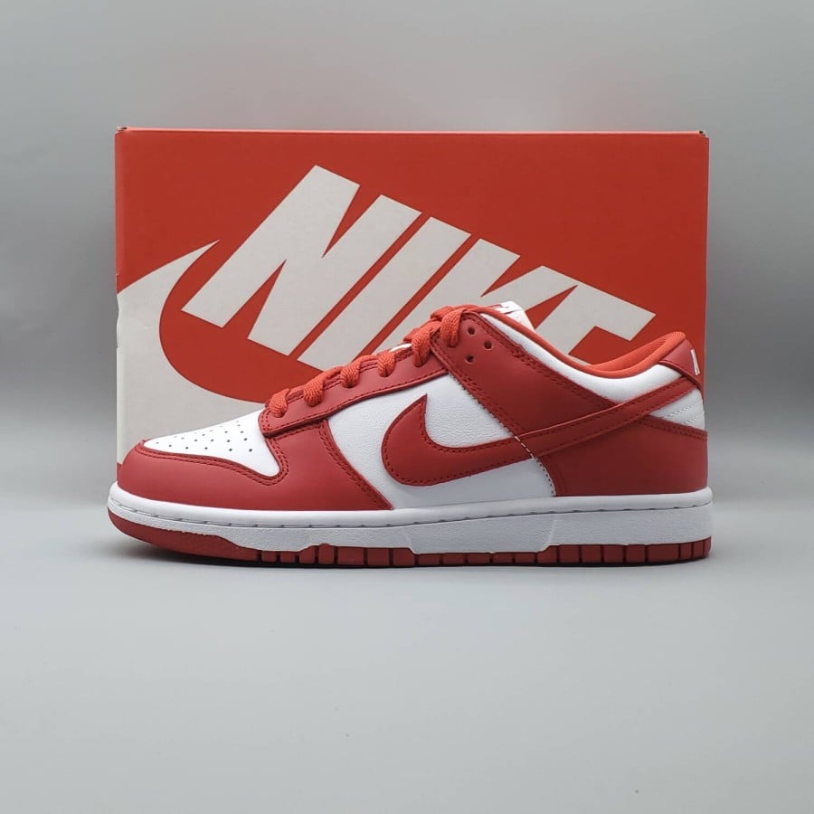 Dunk Low Retro SP