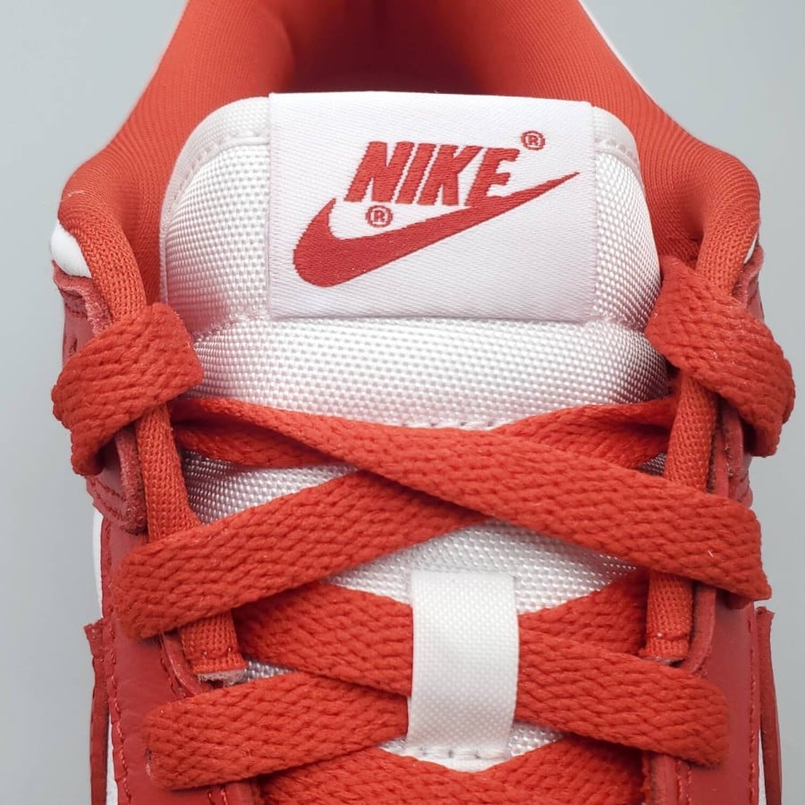 Dunk Low Retro SP