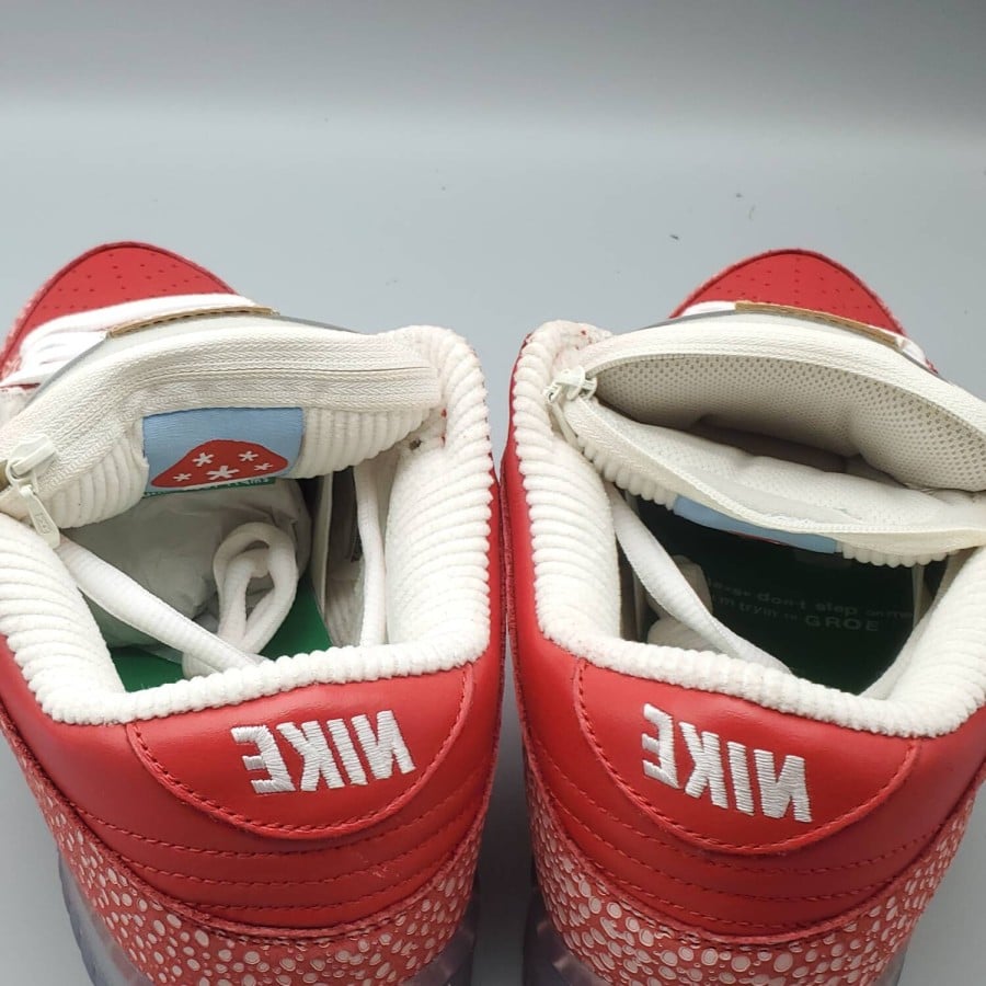 Stingwater x Dunk Low SB