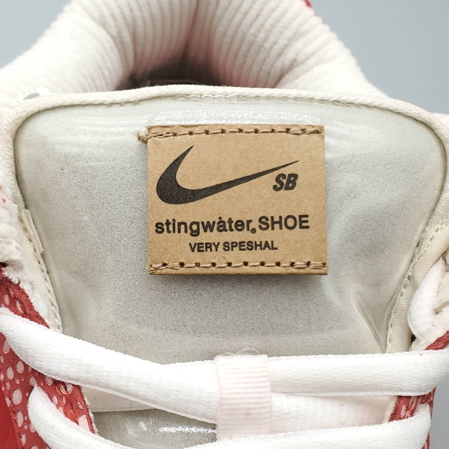 Stingwater x Dunk Low SB