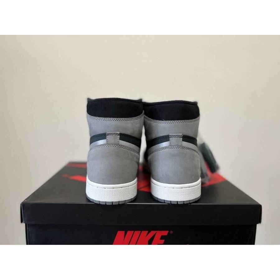 Air Jordan 1 High Element Gore-Tex