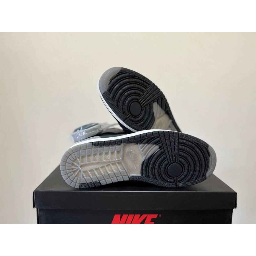 Air Jordan 1 High Element Gore-Tex