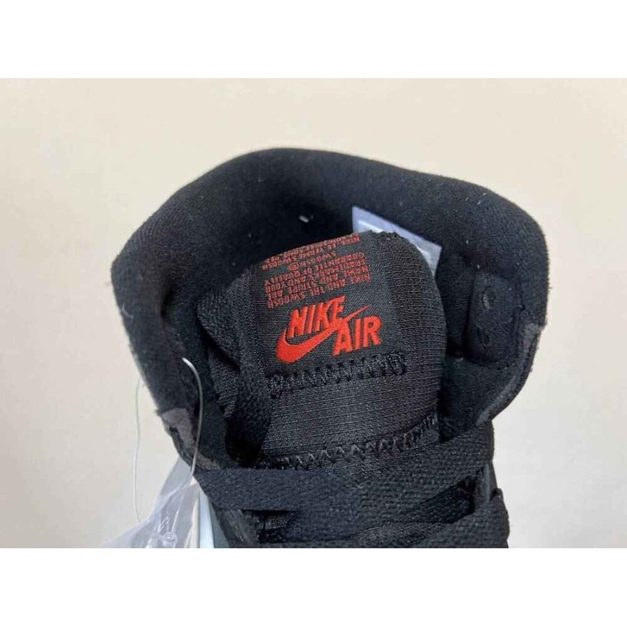 Air Jordan 1 High Element Gore-Tex