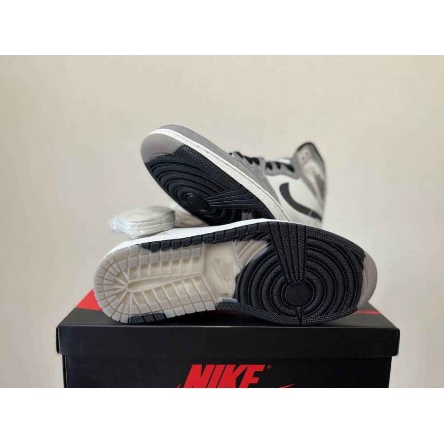 Air Jordan 1 High Element Gore-Tex