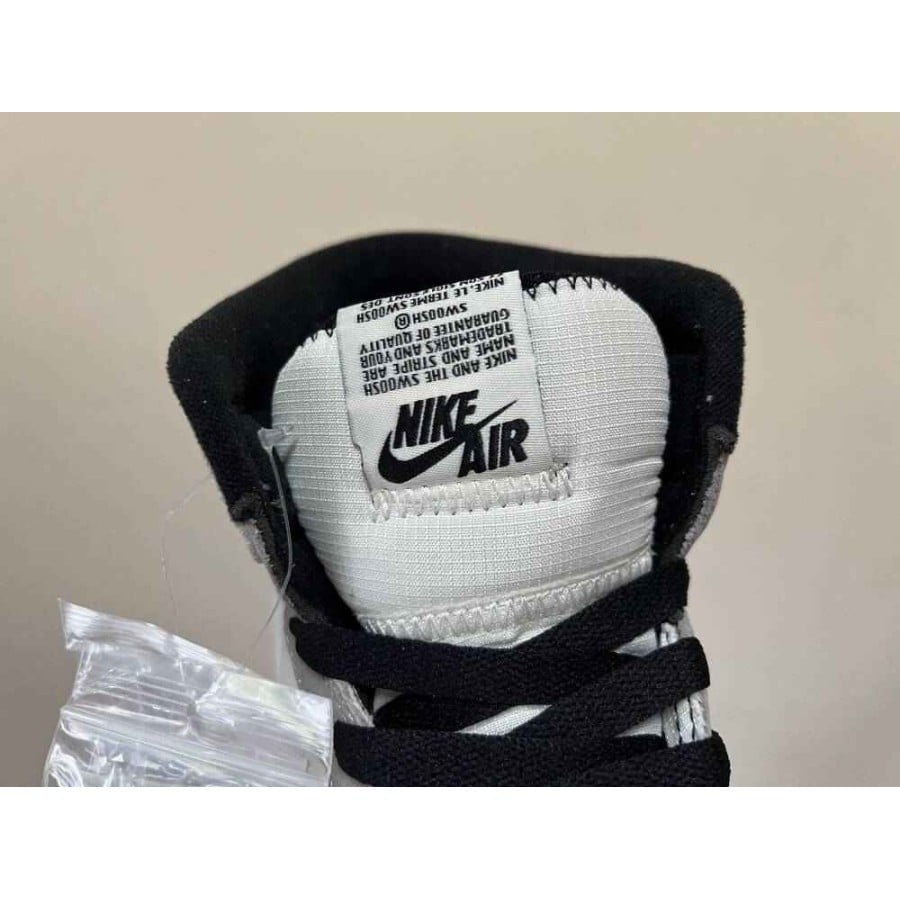 Air Jordan 1 High Element Gore-Tex
