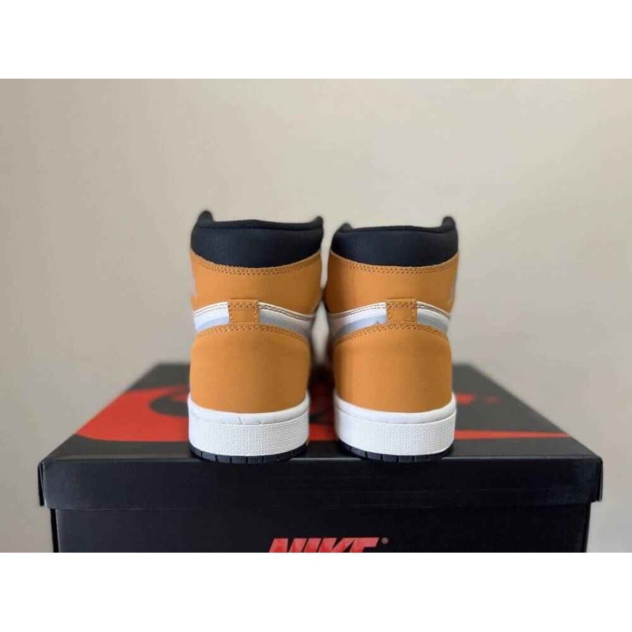 Air Jordan 1 High Element Gore-Tex 