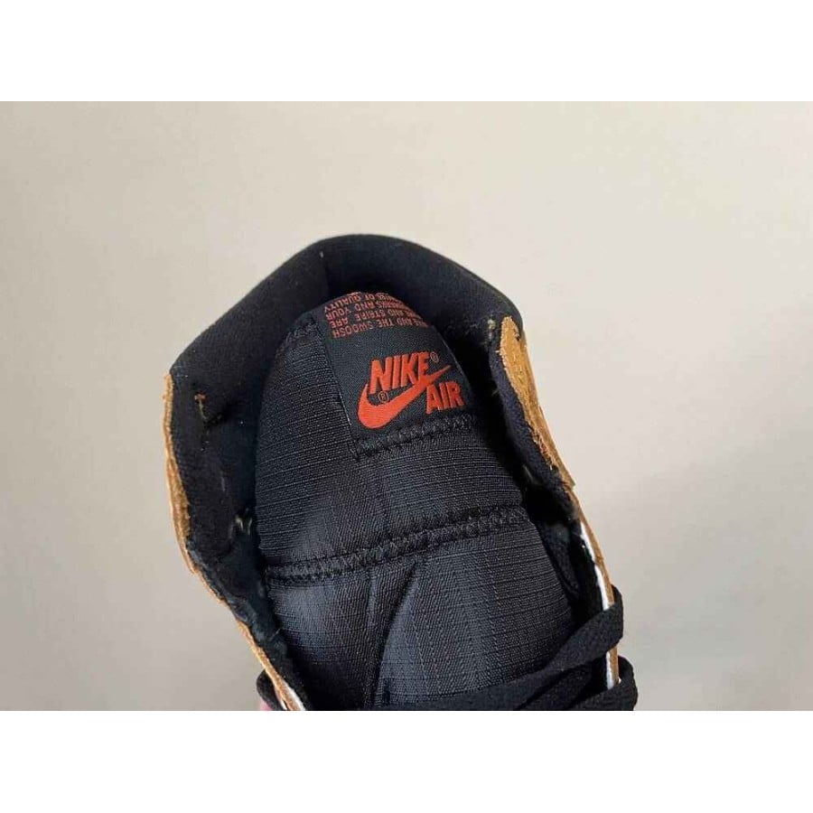 Air Jordan 1 High Element Gore-Tex 