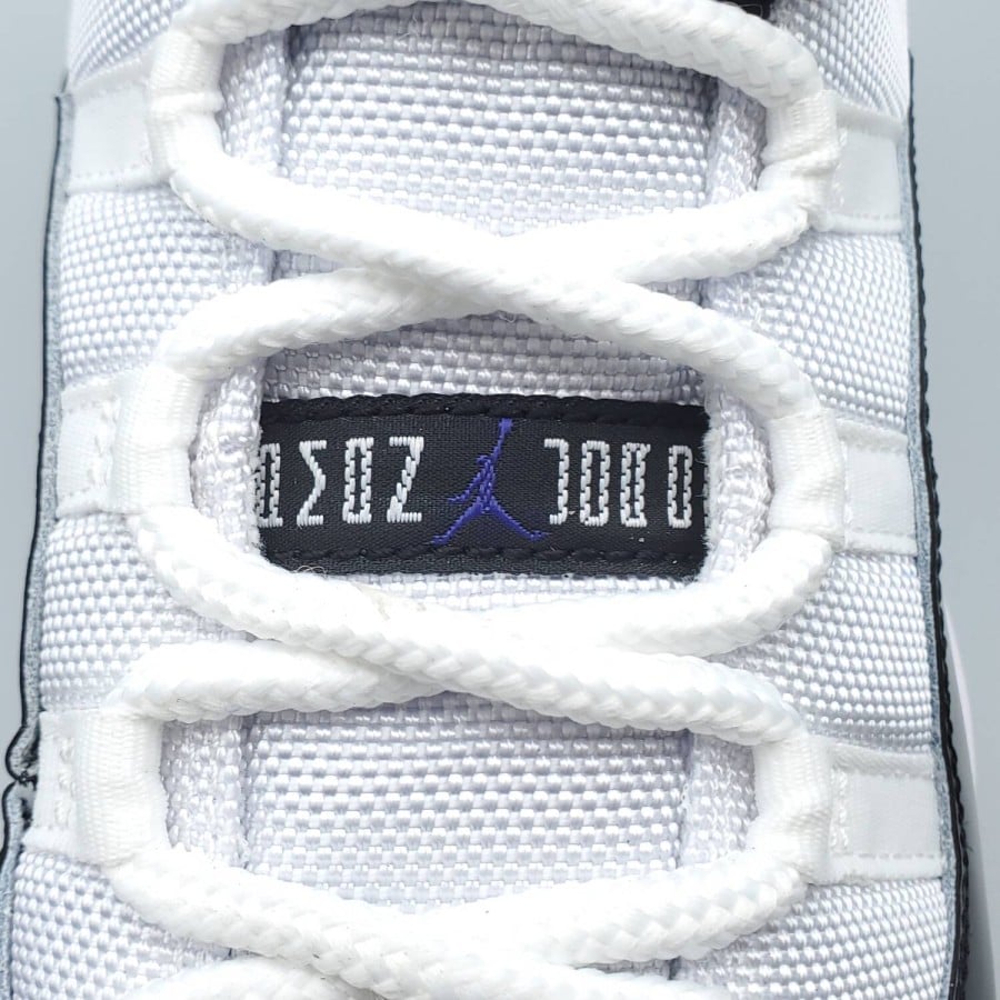 Air Jordan 11 Retro