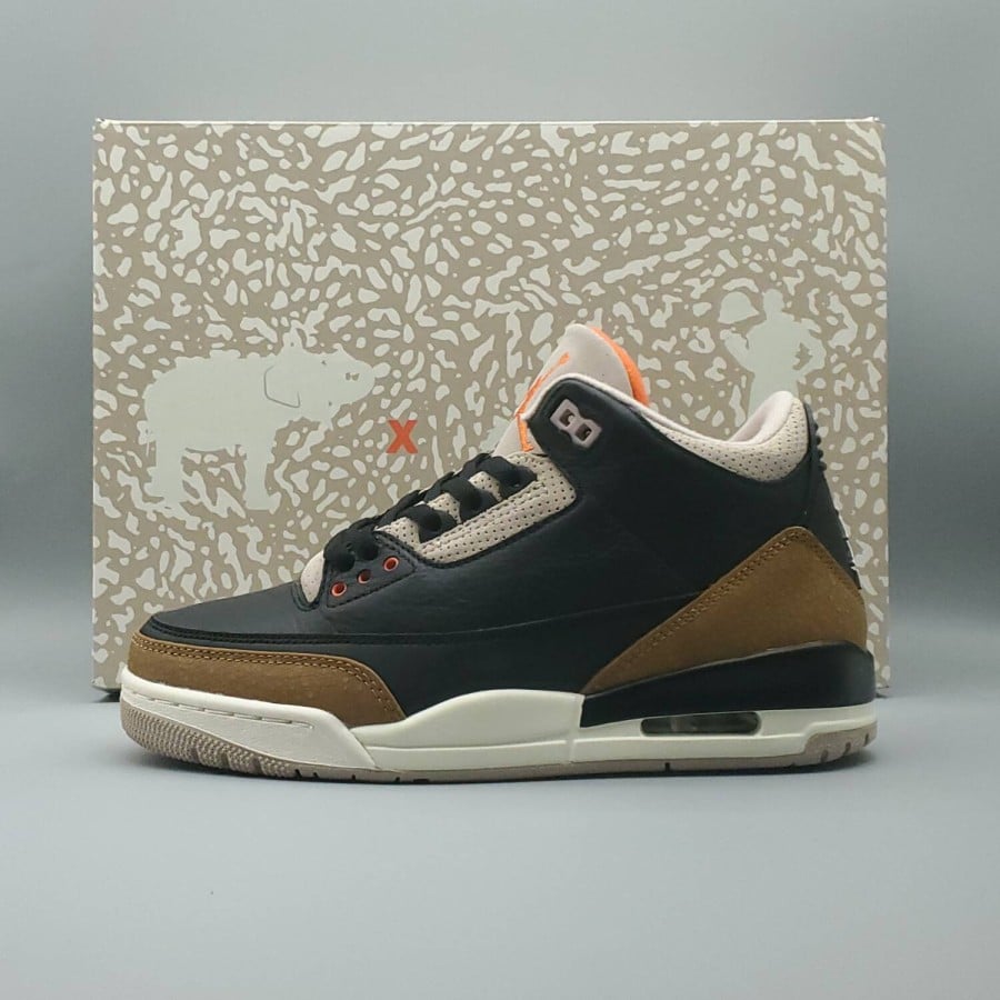 Air Jordan 3 Retro