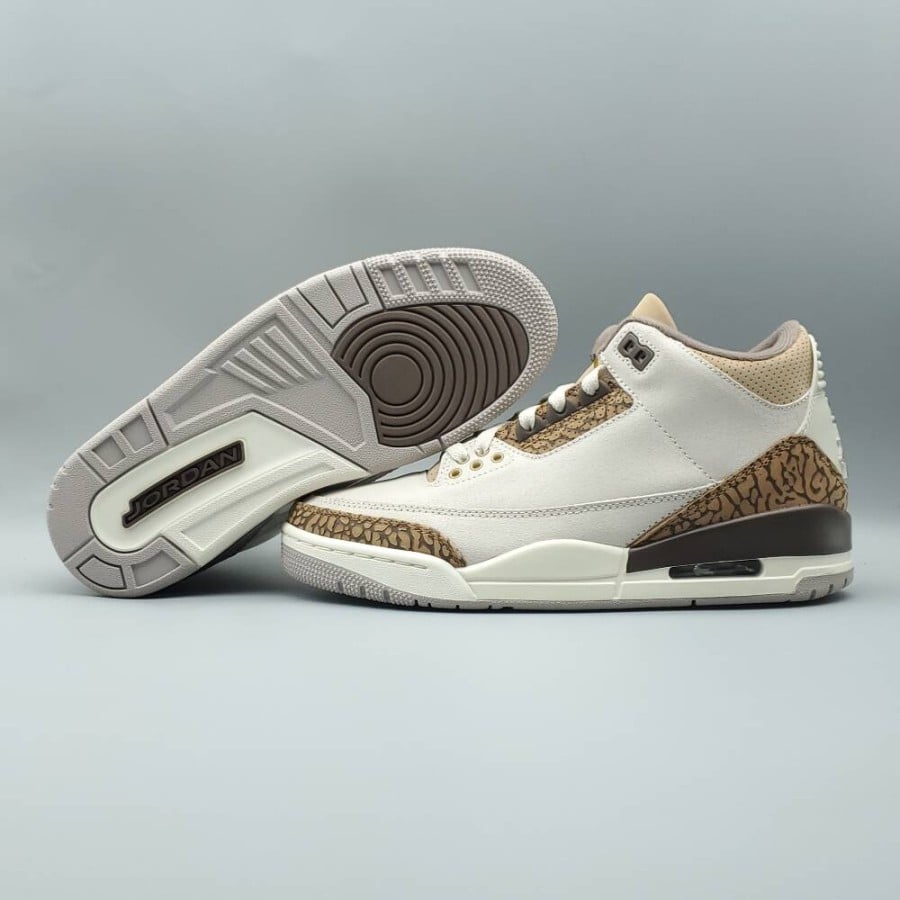 Air Jordan 3 Retro