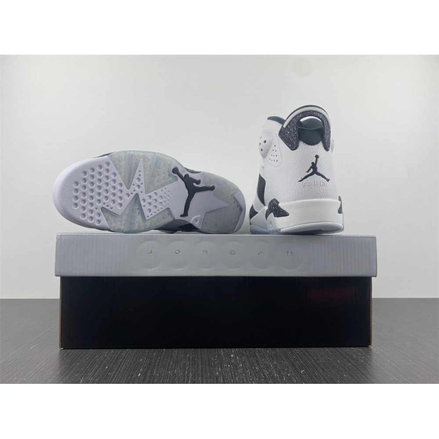 Air Jordan 6 Retro 
